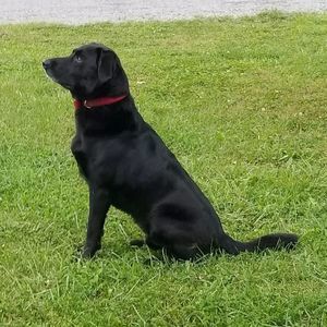 Meet your Posher, Trisha